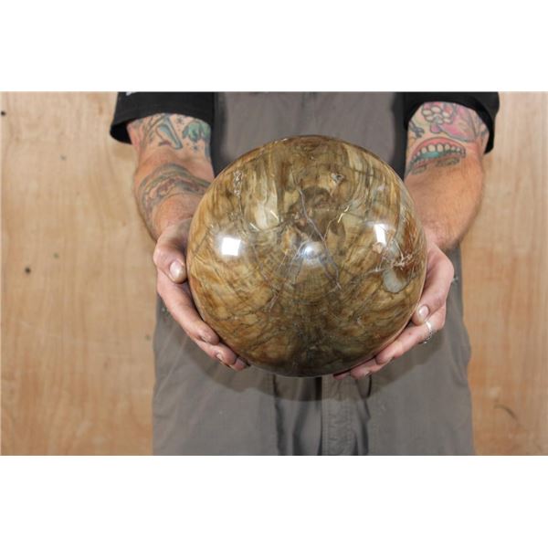 Massive Polished and Formed PETRIFIED WOOD Sphere, Weight: 34 lbs