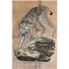 Image 2 : Life-sized ALASKAN LYNX or CANADIAN LYNX on a Rocky Wall Hanging Base