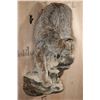 Image 3 : Life-sized ALASKAN LYNX or CANADIAN LYNX on a Rocky Wall Hanging Base