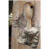 Image 4 : Life-sized ALASKAN LYNX or CANADIAN LYNX on a Rocky Wall Hanging Base
