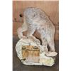 Image 6 : Life-sized ALASKAN LYNX or CANADIAN LYNX on a Rocky Wall Hanging Base