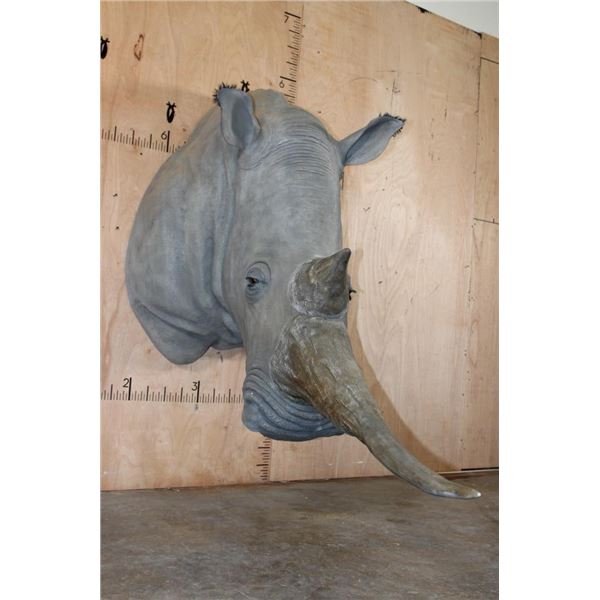 XXL Reproduction WHITE RHINOCEROS Shoulder Mount
