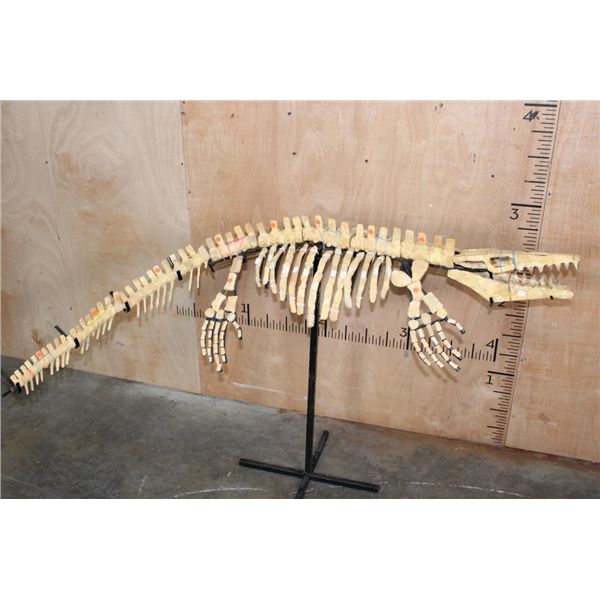 Fossilized Articulated CROCODILIAN Skeleton