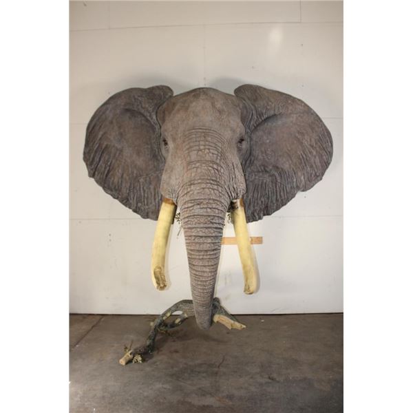 XXL *Real Skin* ELEPHANT Shoulder Mount with Reproduction Tusks