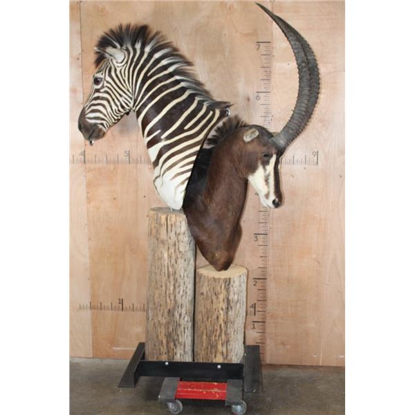 ZEBRA and Big SABLE Double Pedestal Mount