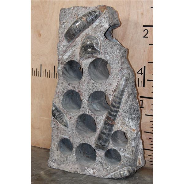 XXL ORTHOCERAS FOSSIL Matrix Wine Rack