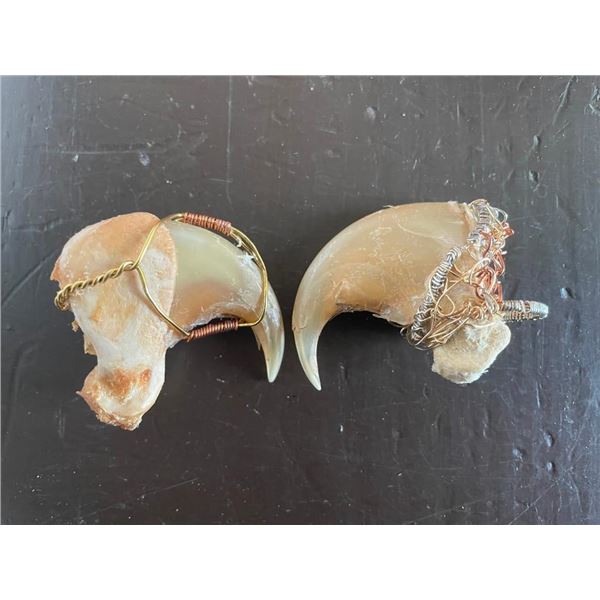 (2) MOUNTAIN LION or COUGAR Front "Killer Claws" with Wrapped Wire for Jewelry
