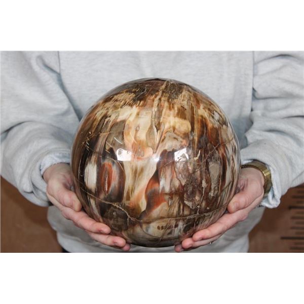 XXL Formed and Polished Arizona Rainbow PETRIFIED WOOD Sphere, Weight: 29 lbs