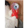 Image 3 : Life-sized Strutting ROYAL PALM TURKEY on a Foam Base