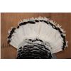 Image 5 : Life-sized Strutting ROYAL PALM TURKEY on a Foam Base