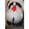 Image 6 : Life-sized Strutting ROYAL PALM TURKEY on a Foam Base