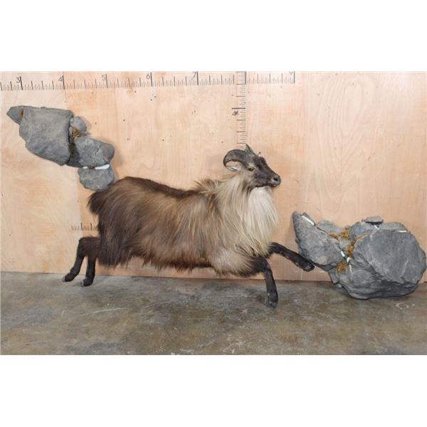 Life-sized TAHR with 2 Free-floating Rock Bases including a built in Electric Fan for Display