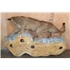 Image 12 : Life-sized MOUNTAIN LION or COUGAR on a Rocky Wall Hanging Base