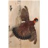 Image 3 : Life-sized Flying TEMMINCK'S TRAGOPAN PHEASANT