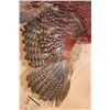 Image 7 : Life-sized Flying TEMMINCK'S TRAGOPAN PHEASANT