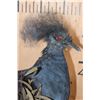 Image 3 : VICTORIA CROWNED PIGEON on a Natural Wood Base