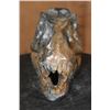 Image 3 : Big Hand-carved and Polished SODALITE-SYENITE Tyrannosaurus Rex SKULL