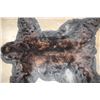 Image 10 : BLACK BEAR Rug or BLACK BEAR Hide with its Mounted Head and All its Claws