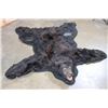 Image 1 : BLACK BEAR Rug or BLACK BEAR Hide with its Mounted Head and All its Claws