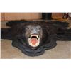 Image 4 : BLACK BEAR Rug or BLACK BEAR Hide with its Mounted Head and All its Claws