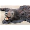 Image 5 : BLACK BEAR Rug or BLACK BEAR Hide with its Mounted Head and All its Claws