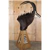 Image 1 : XL SABLE Mounted on a Pedestal with Zebra Hide Panels