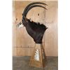 Image 3 : XL SABLE Mounted on a Pedestal with Zebra Hide Panels