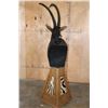 Image 9 : XL SABLE Mounted on a Pedestal with Zebra Hide Panels