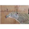 Image 8 : ROAN Pedestal Mount with 4 Roan Hide Panels