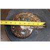 Image 3 : XL Whole Sutured and Polished AMMONITE Fossil from Madagascar