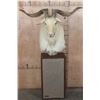 Image 1 : White CATALINA GOAT Mounted on a Speaker Pedestal