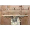 Image 5 : White CATALINA GOAT Mounted on a Speaker Pedestal