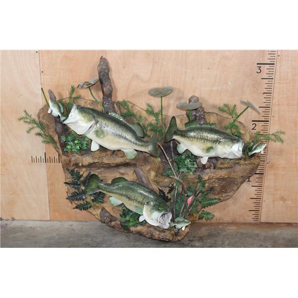 3 *Real Skin* LARGE MOUTH BASS on a Decorative Wall Hanging Base