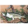 Image 4 : 3 *Real Skin* LARGE MOUTH BASS on a Decorative Wall Hanging Base