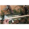 Image 7 : 3 *Real Skin* LARGE MOUTH BASS on a Decorative Wall Hanging Base