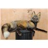 Image 1 : Life-sized Freestanding CROSS FOX