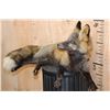 Image 2 : Life-sized Freestanding CROSS FOX