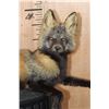 Image 4 : Life-sized Freestanding CROSS FOX