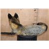 Image 7 : Life-sized Freestanding CROSS FOX
