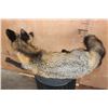 Image 8 : Life-sized Freestanding CROSS FOX