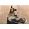 Image 9 : Life-sized Freestanding CROSS FOX