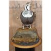 Image 3 : Big HIMALAYAN SNOWCOCK Perched on a Rock and Wood Base
