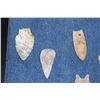 Image 10 : (27) Native American ARROWHEADS or Spear Points in a Display Case