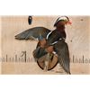 Image 1 : Flying Male MANDARIN DUCK on a Wood Plaque