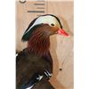 Image 2 : Flying Male MANDARIN DUCK on a Wood Plaque