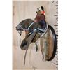 Image 3 : Flying Male MANDARIN DUCK on a Wood Plaque
