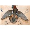 Image 5 : Flying Male MANDARIN DUCK on a Wood Plaque