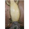 Image 11 : *Real Skin* Over 12' Long Life-sized "Swimming" CROCODILE on a Decorative Base with Wheels