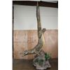 Image 14 : *Real Skin* Over 12' Long Life-sized "Swimming" CROCODILE on a Decorative Base with Wheels