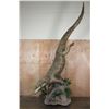Image 2 : *Real Skin* Over 12' Long Life-sized "Swimming" CROCODILE on a Decorative Base with Wheels